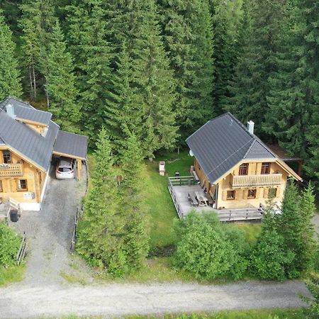 Almhaus & Almchalet Flattnitz Экстерьер фото