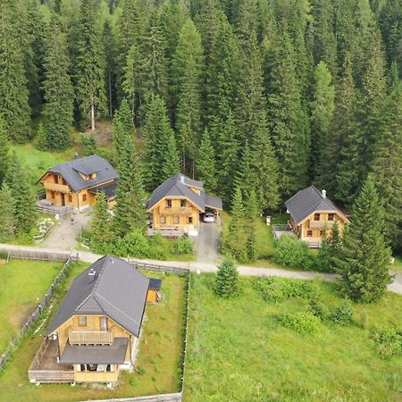 Almhaus & Almchalet Flattnitz Экстерьер фото