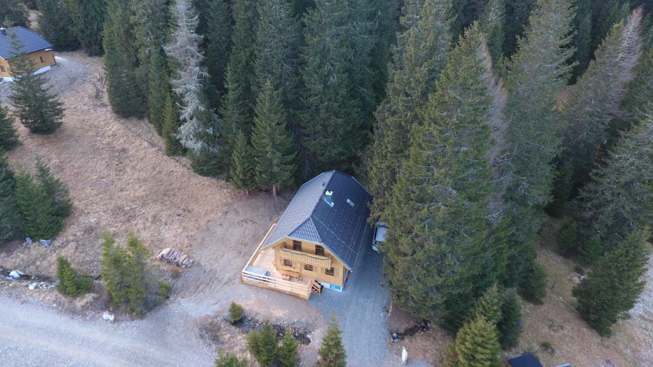 Almhaus & Almchalet Flattnitz Экстерьер фото